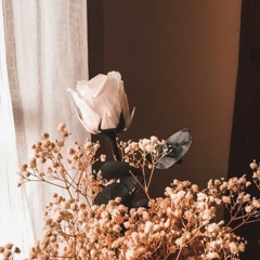 Akrep Nalan _ Karlar Düşer