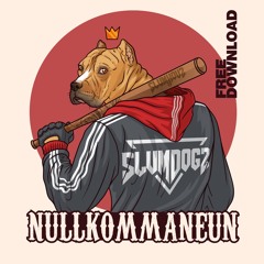 Nullkommaneun