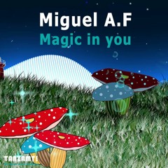 Miguel A.F - Magic In You