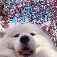 ᠌ ᠌᠌ ᠌᠌ ᠌᠌ ᠌