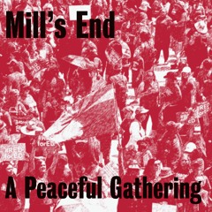 A Peaceful Gathering