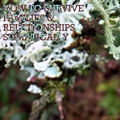 How To Survive Families And Relationship Somatically