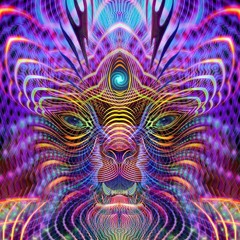 DMT