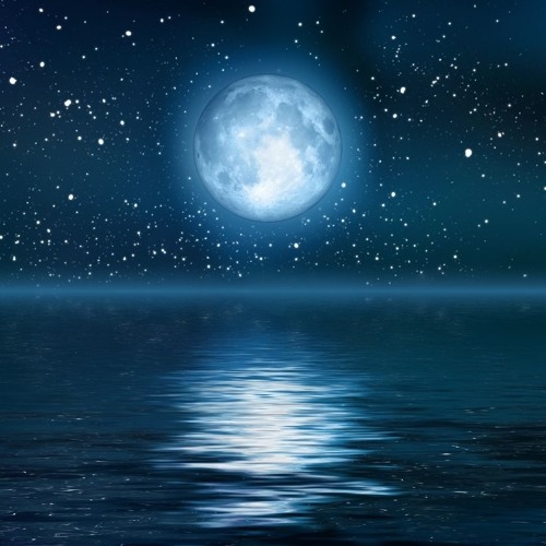 Moonbeam