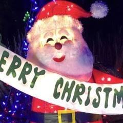 Holiday Magic On Christmas Tree Lane in Alameda