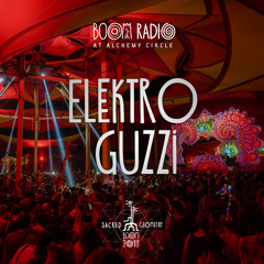 Elektro Guzzi - Alchemy Circle 29 - Boom Festival 2018