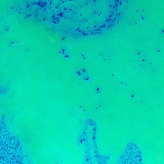 my_mind too________