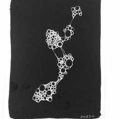 Claustrum, Kesako#1 ?