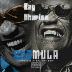 Ray Charles (Official Audio)