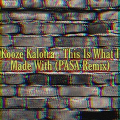 Kooze Kalotra-This Is What I Made With  (PASA Remix)