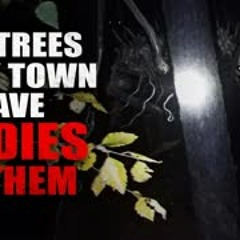 "The Trees in My Town Have Bodies in Them" Creepypasta