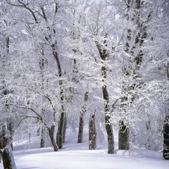 Winter 2019/2020