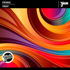 [VOG035] Syntonize - Tonight(Original Mix)