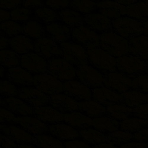 NBT. MYA -HEAR THE NAME