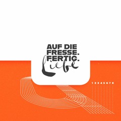 Auf die Fresse. Fertig. Liebe (Album Snippet)