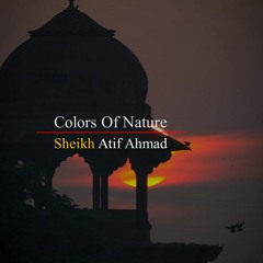 Colors Of Nature By Shaykh Atif Ahmed Motivational Urdu Reminders