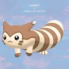 Furret Safe