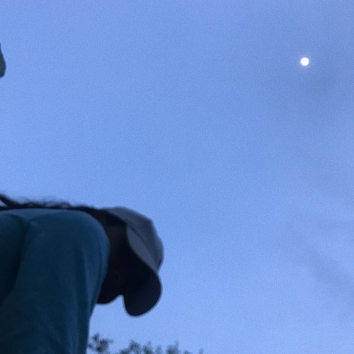 Stream Fly Me To The Moon Frank Sinatra Cover By Diva By Diva Listen Online For Free On Soundcloud