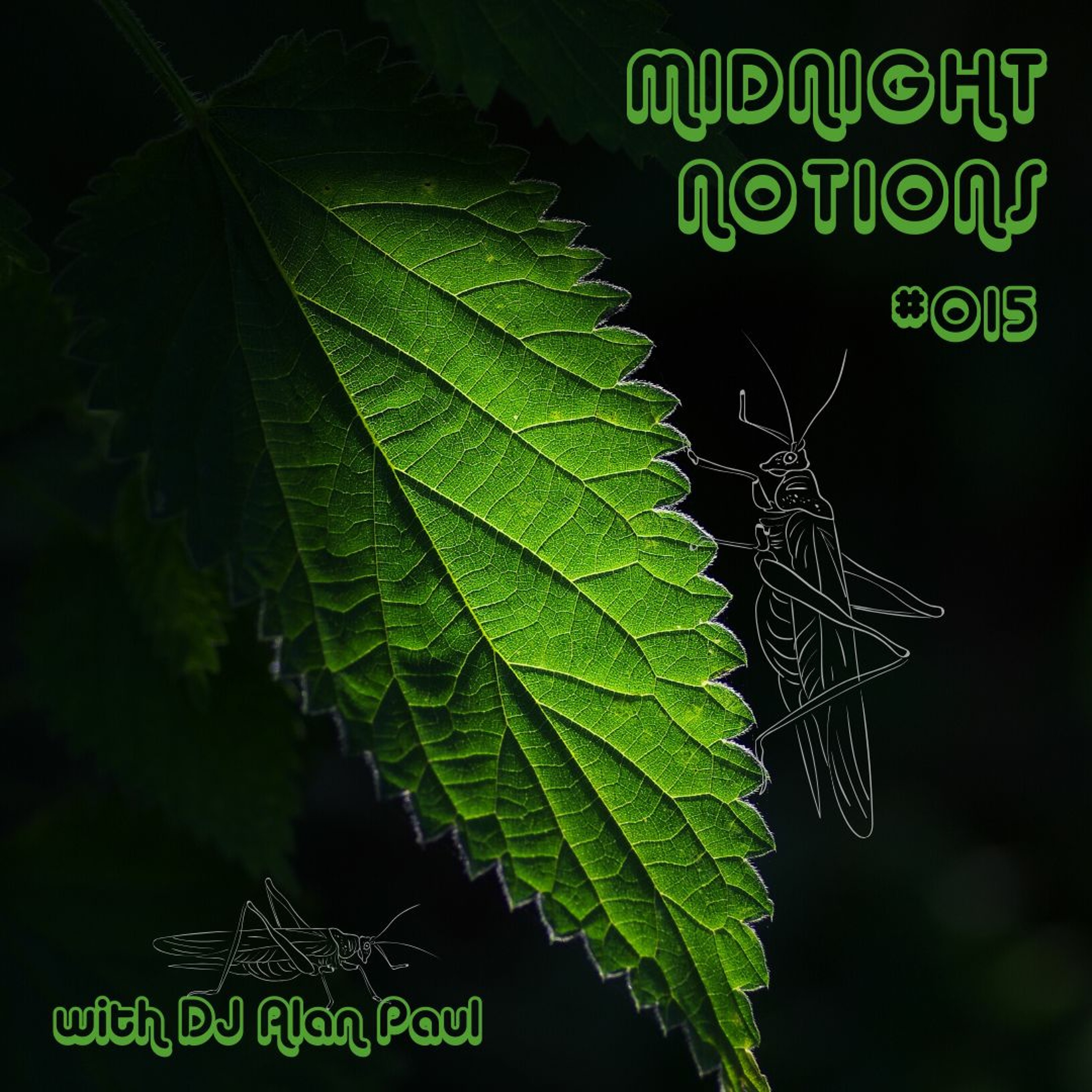 Midnight Notions