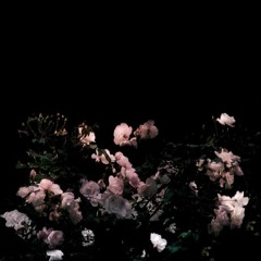 something wrong with you