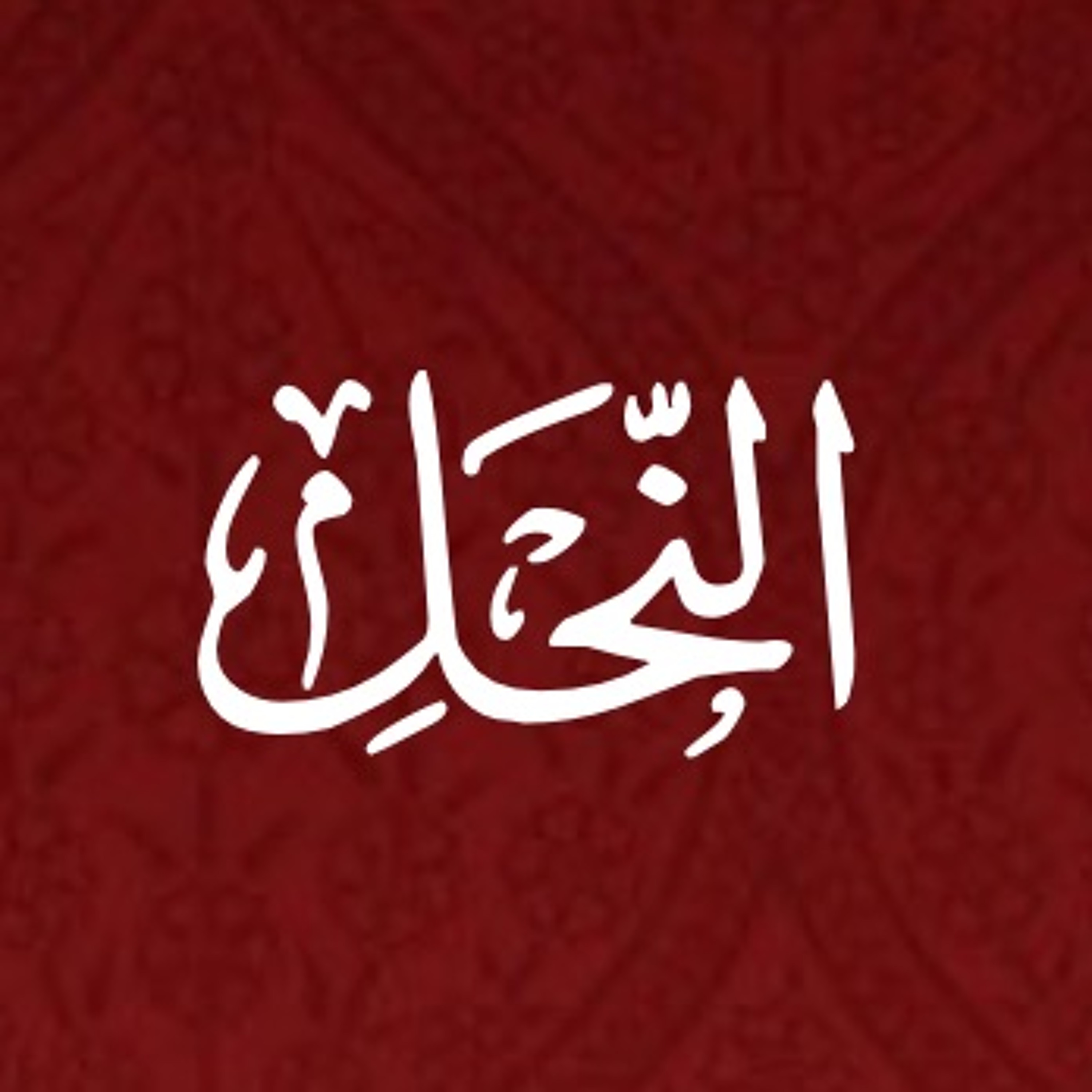 Quran Urdu Translation