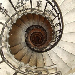 Fucking Lively Freestyle