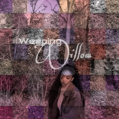 Weeping Willow