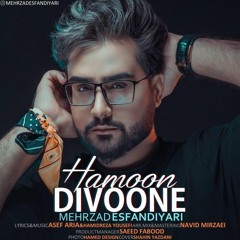 Hamoon Divoone