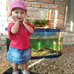 Ipank feat kintani Full album