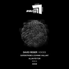 David Meiser - Voices (Superstrobe & Dominik Vaillant Remix)