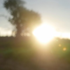 Ambient 1A (The Field)