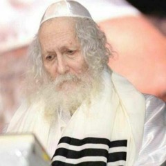 הרב אליעזר ברלנד שליט''א באמירת תיקון הכללי  Rabbi Eliezer Berland