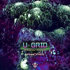 U-Grid - Micro Groove "Out Now On PsynOpticz Records"