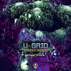 U-Grid - Magic Hours "Out Now On PsynOpticz Records"