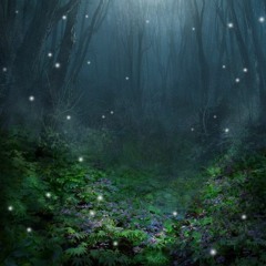 DJ Dibass - Floresta Mágica (2020 Set)