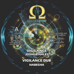 Joshua Hales - Vigilance/ Habesha  - Vigilance dub
