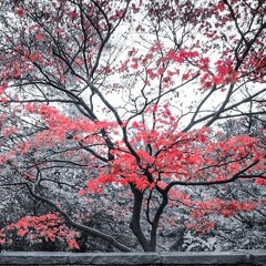 ReparaMa [ Free Download ]