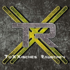 Hammerschmidt @ Toxxisches Rauschen - Faces Aalen