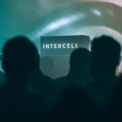 Kangding Ray at Intercell x Stroboscopic Artefacts ADE 2018