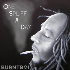 burntboi - One Spliff a Day (VIP OUT NOW)