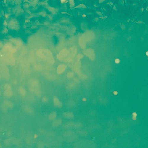AK - Raindrops