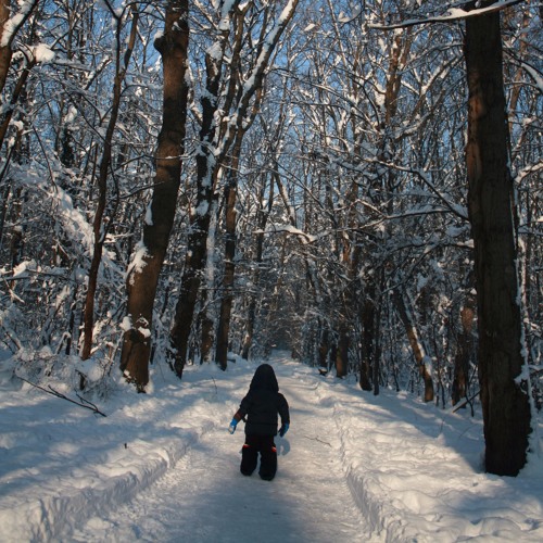 I Celebrate the Day by Relient K