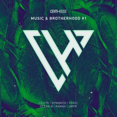 CEVITH, Ocean-B - Never Know (Extended Mix)