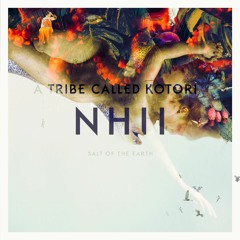 ATCK003 - Nhii - Salt of the Earth