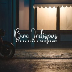 The Motans - Bine Indispus (Adrian Funk X OLiX Remix)