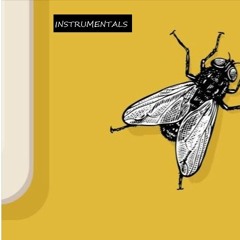 kickodun & The Beast - This Feeling (Instrumental)