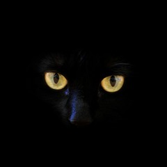 Treason feat. DEMIGOD