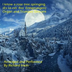 I Know A Rose Tree Springing (Es Ist Ein' Ros' Entsprungen) - Organ And Trumpet Descant