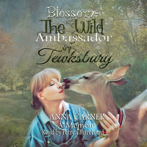 Blossom The Wild Ambassador Audio Book Sample