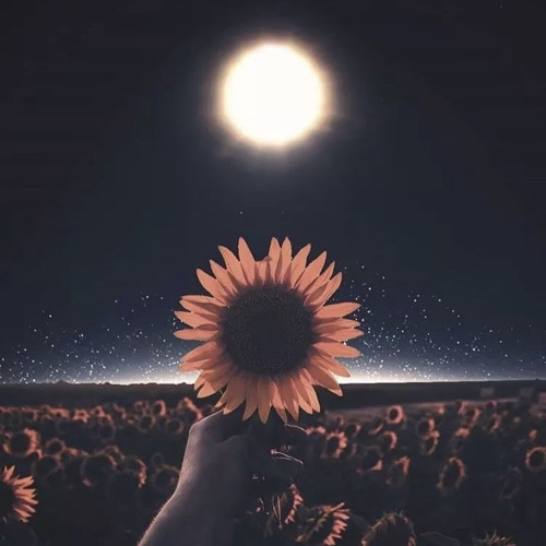 So Easy - Original by Sasa x Taii